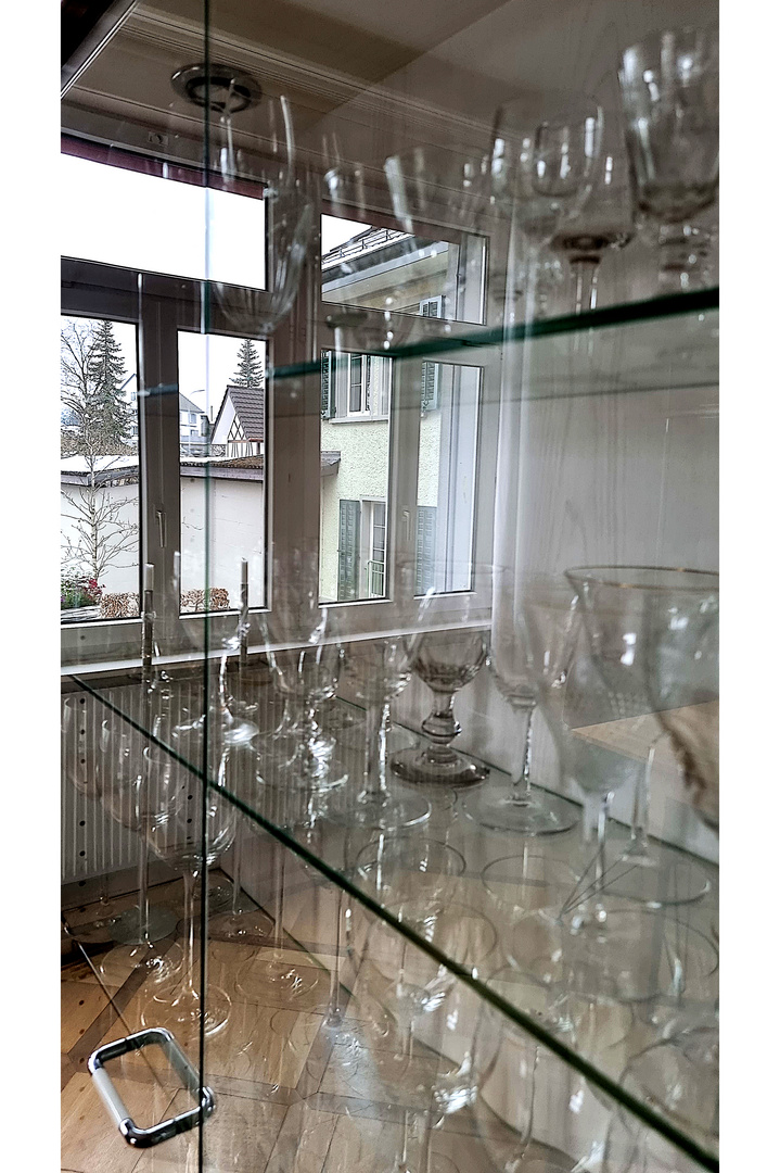 Die Glasvitrine