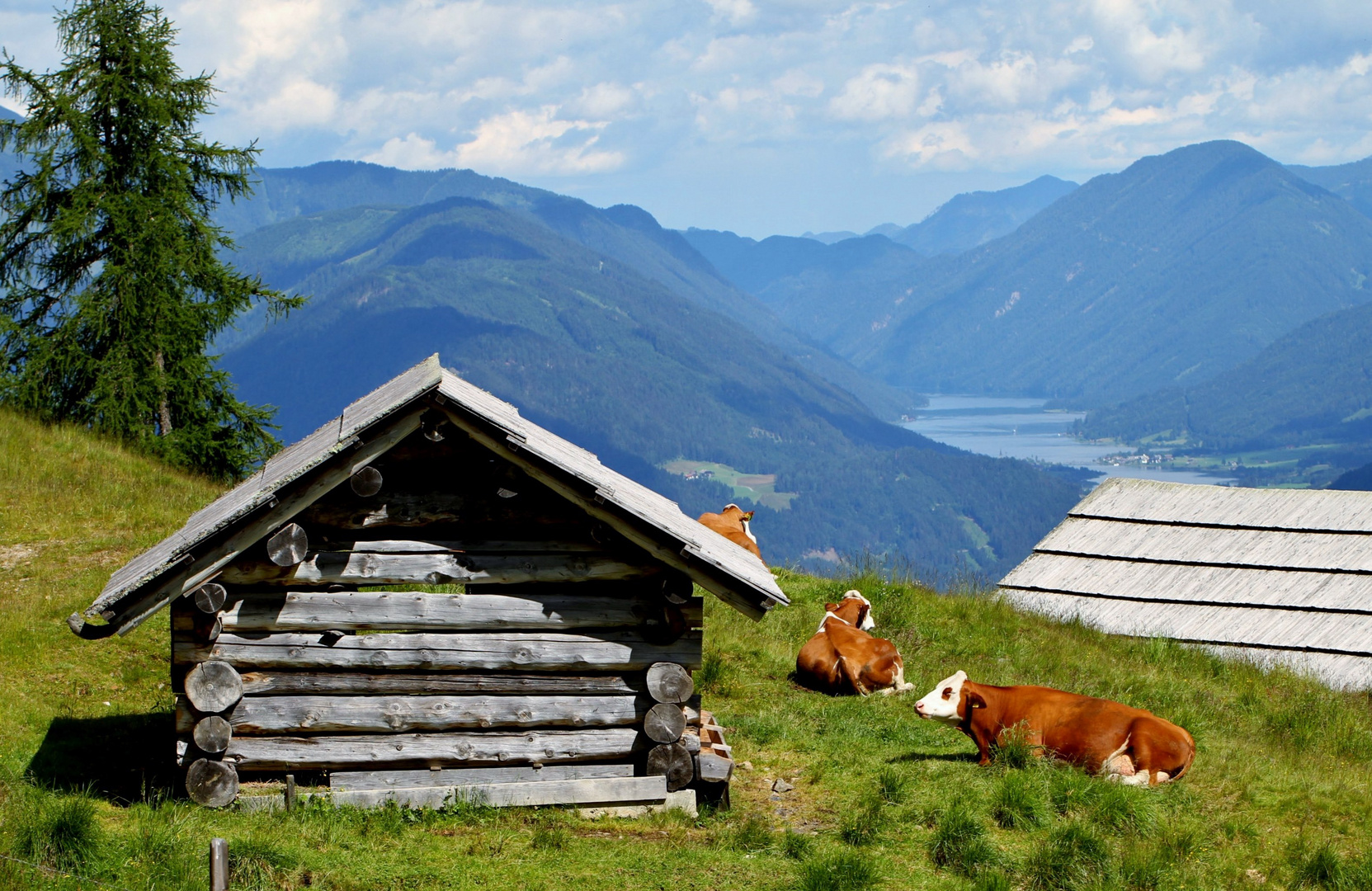   die Glatsch - Alm