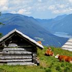   die Glatsch - Alm