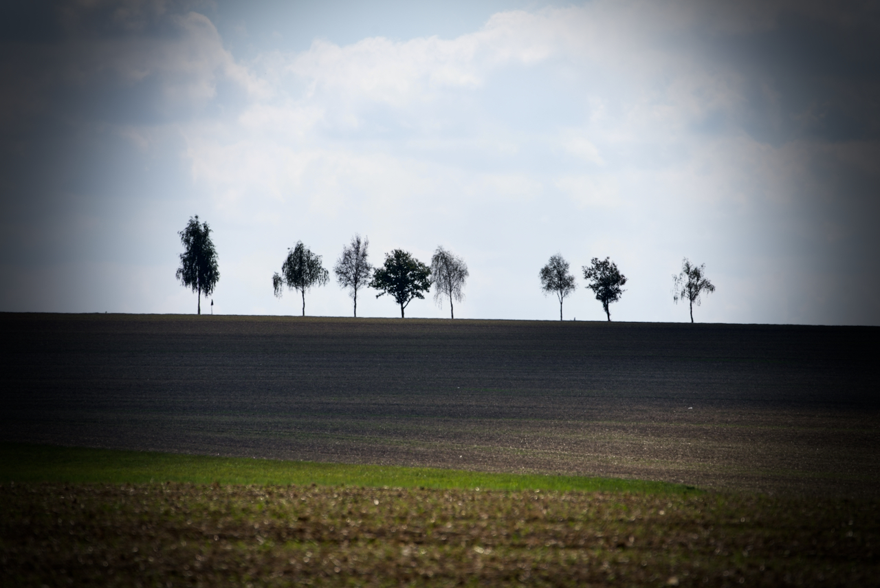 Die Glorreichen 8 aus Plothen 