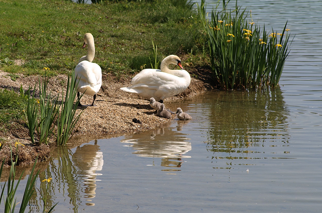 Die glückliche Familie