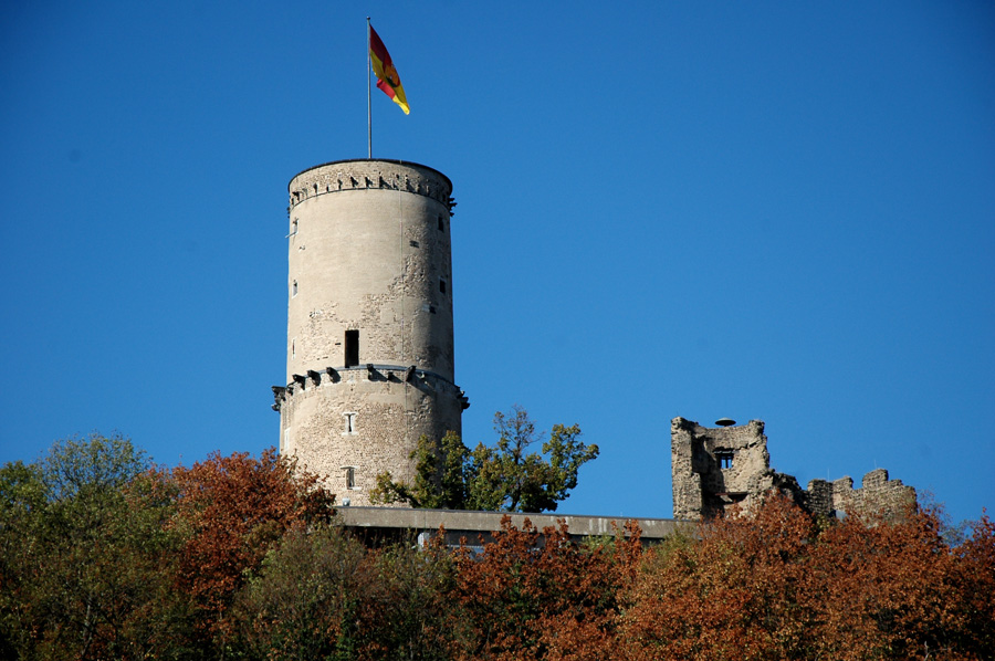 Die Godesburg