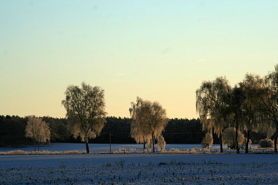 Die Görde (2)