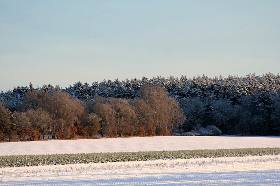 Die Görde (3)