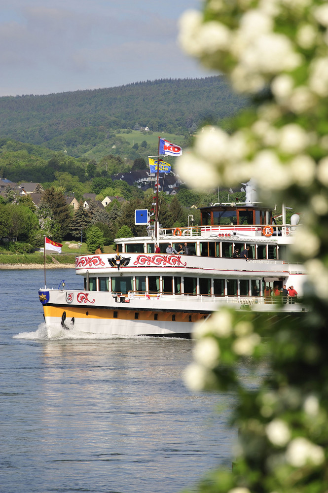 Die GOETHE läuft auf Braubach zu