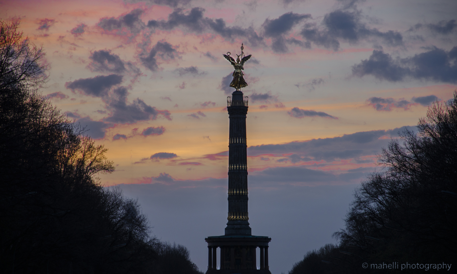 Die Goldelse am Morgen