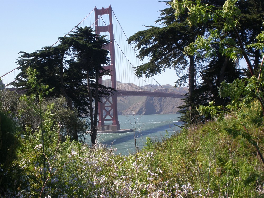 Die Golden Gate Bridge mal von einer anderen Perspektive