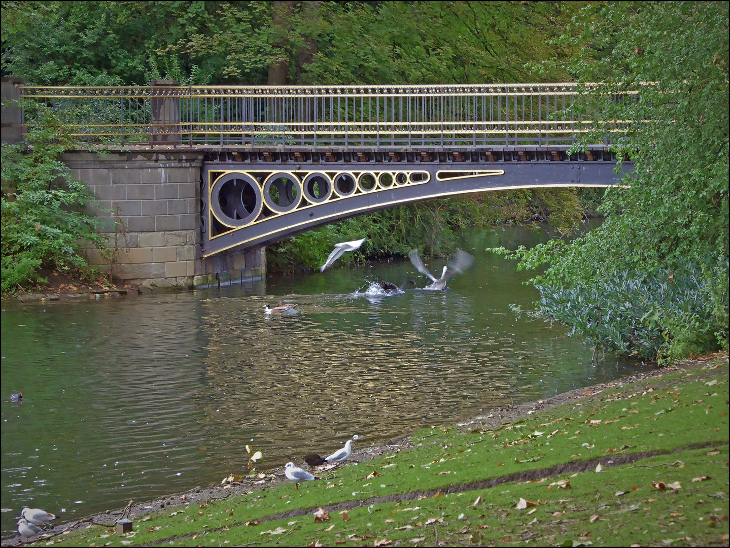 Die goldene Brücke  (2)