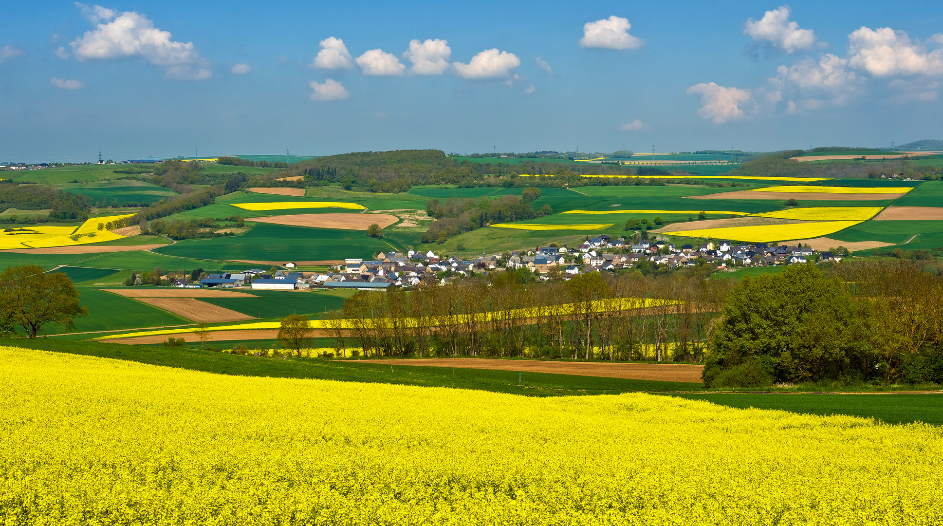 Die goldene Eifel bei Münstermaifeld