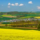 Die goldene Eifel bei Münstermaifeld