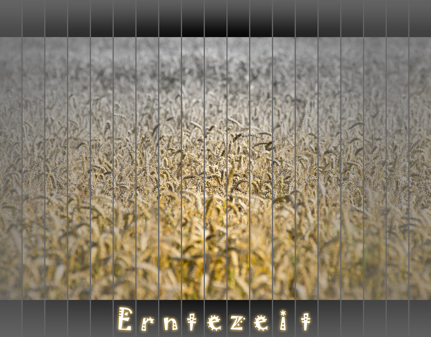 Die goldene Erntezeit