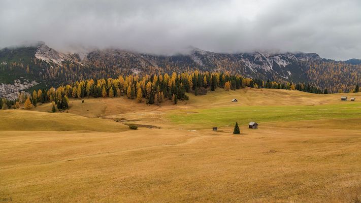 Die goldene Jahreszeit
