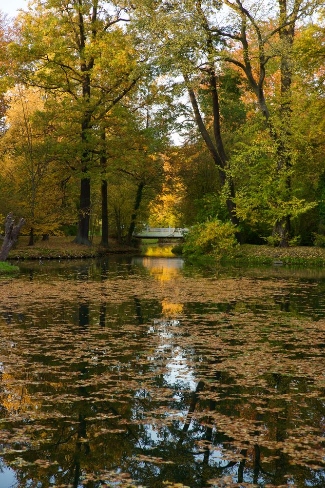 Die goldene Mitte