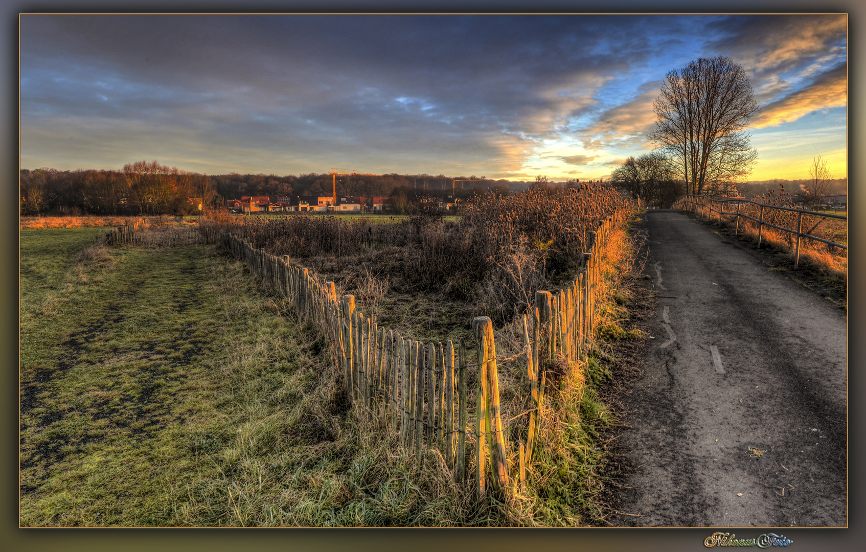 die goldene Morgensonne