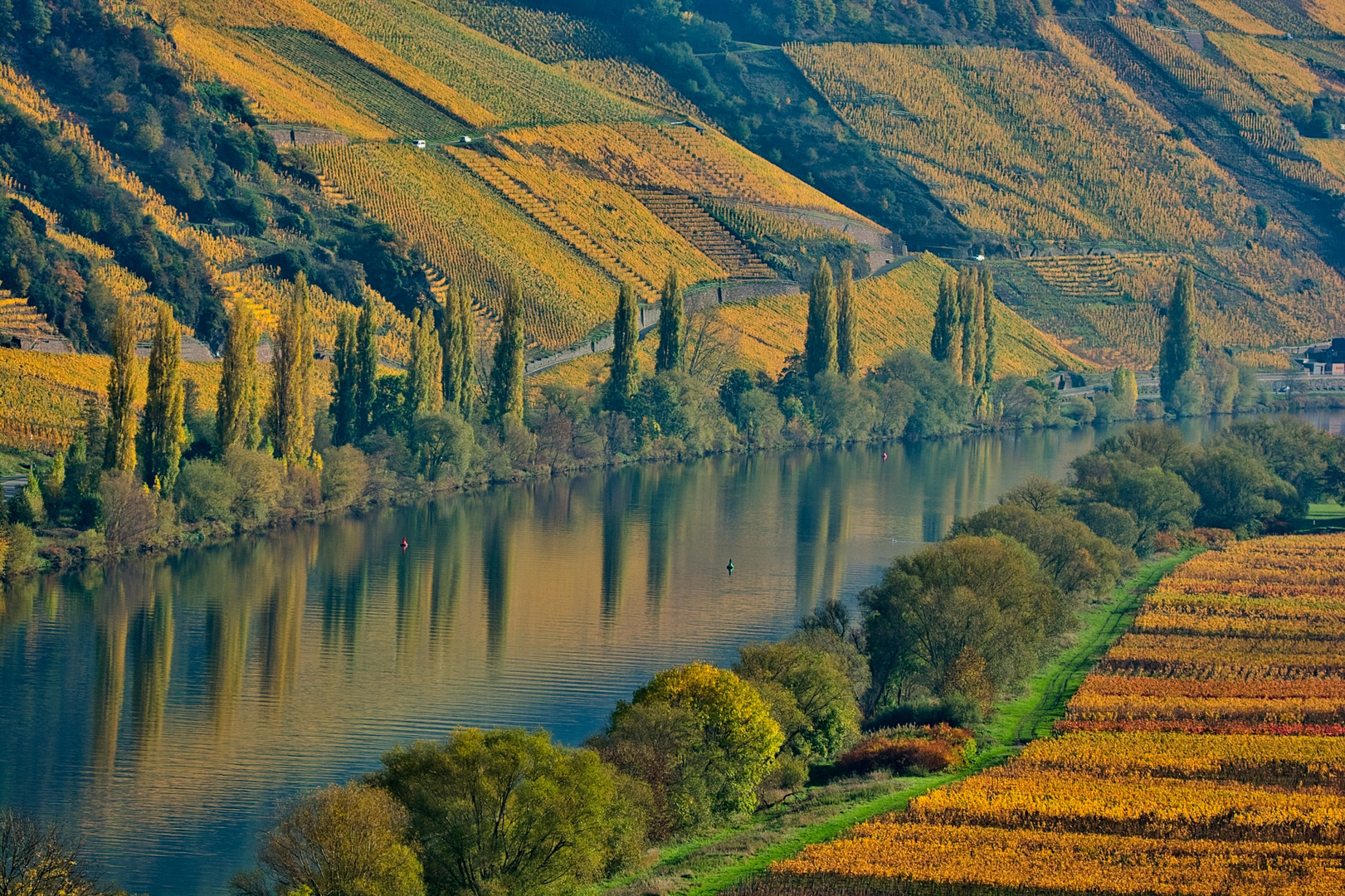 Die goldene Mosel