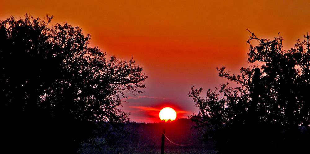 Die goldene Oktobersonne.......