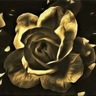 Die goldene Rose 