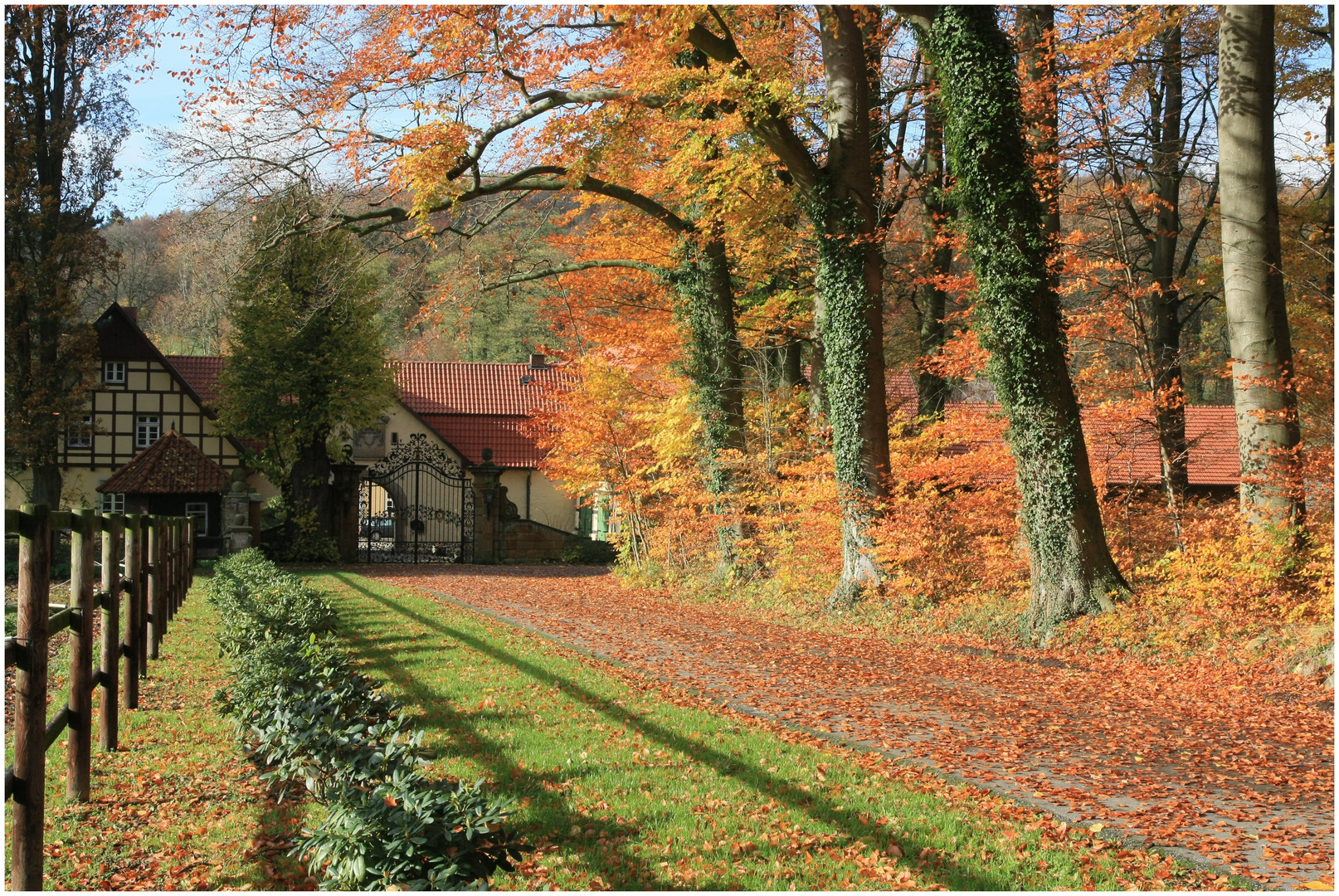 Die goldene Seite des Herbstes