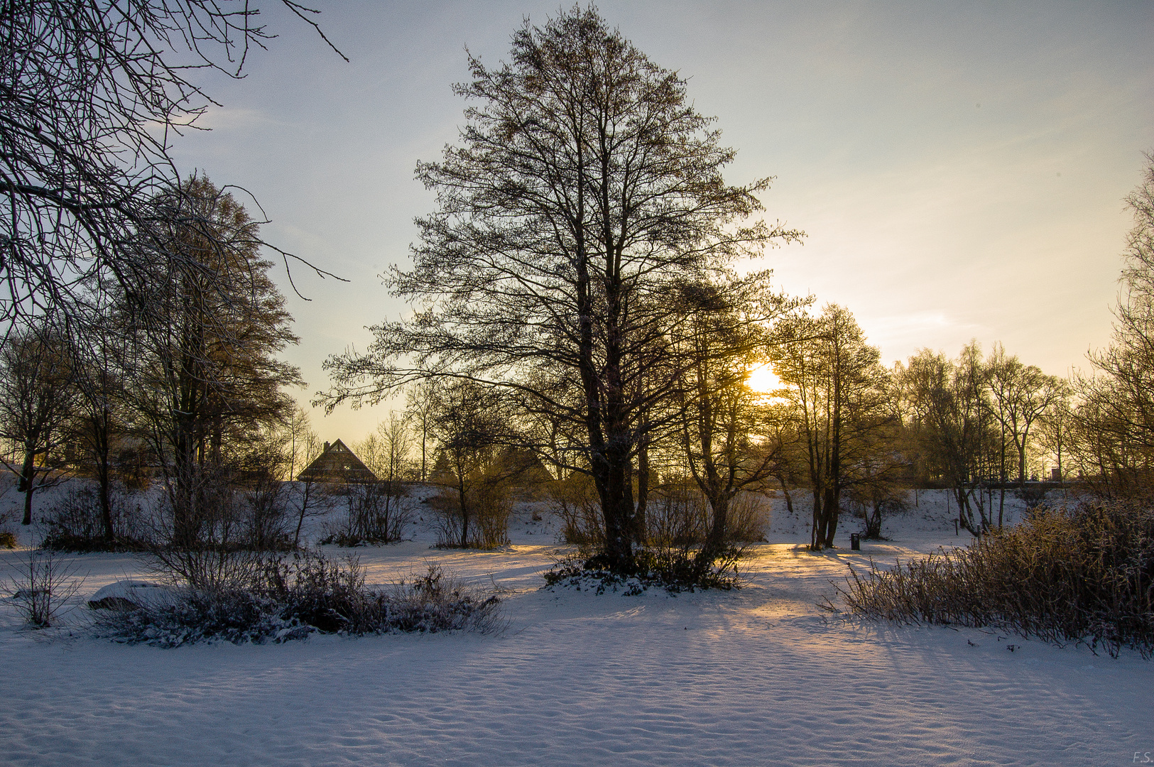 Die goldene Sonne