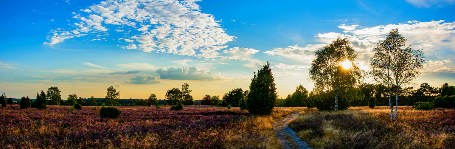 Die goldene Stunde