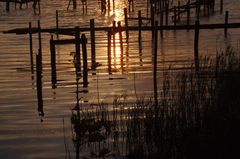 Die goldene Stunde beginnt