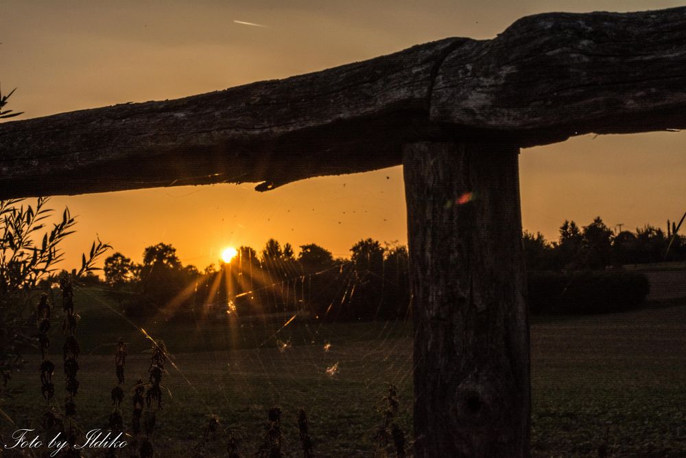 Die goldene Stunde in Bietigheim