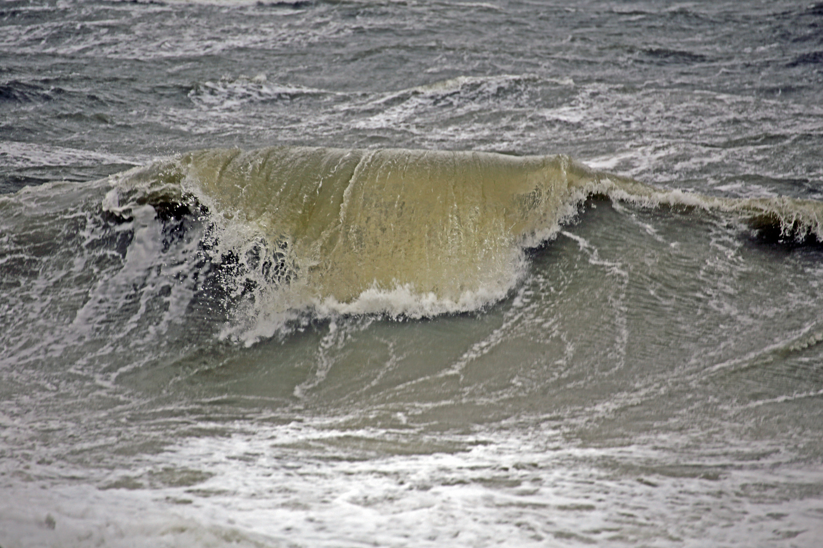 Die goldene Welle (Sturmflut bei Baltrum)