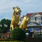 Die Goldenen Löwen von Sihanoukville