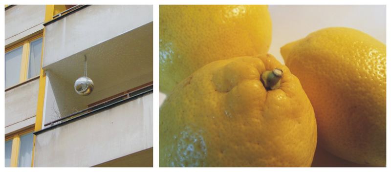 Die Goldenen Zitronen vom Balkon gegenüber ...