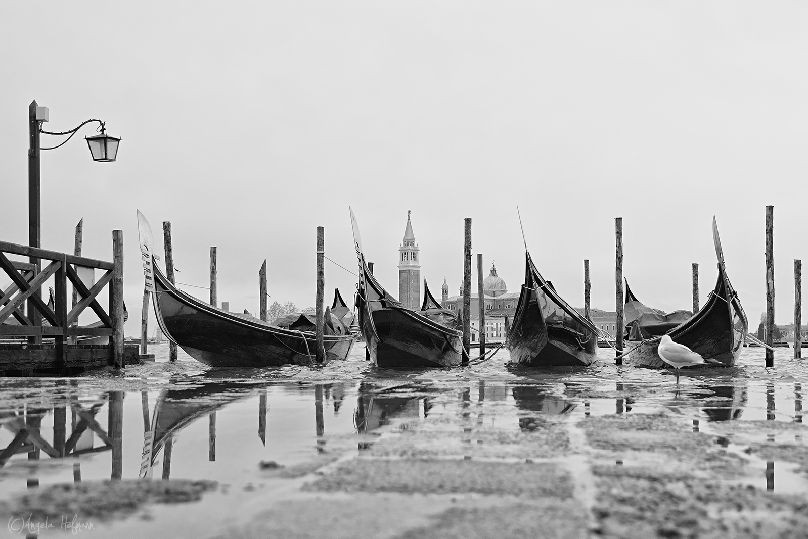 Die Gondeln von Venedig ...