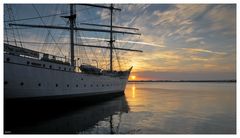 Die Gorch Fock