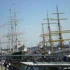 Die Gorch Fock und Rickmer Rickmer,s