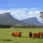 Die Grampians...