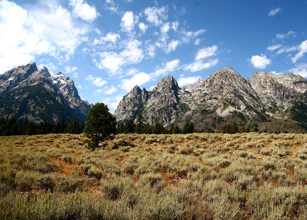 Die Grand Tetons