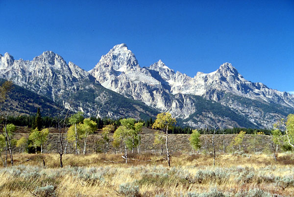 Die Grand Tetons