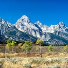 Die Grand Tetons