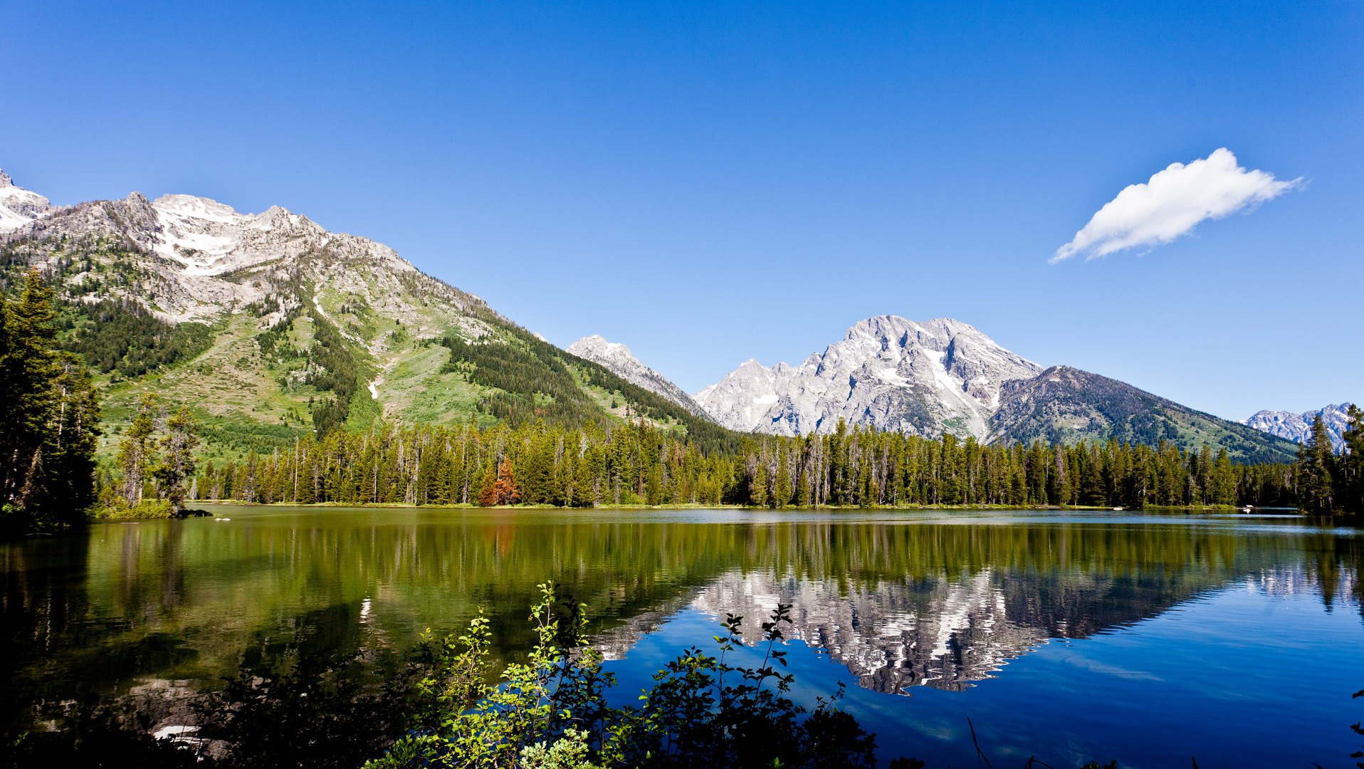 Die Grand Tetons