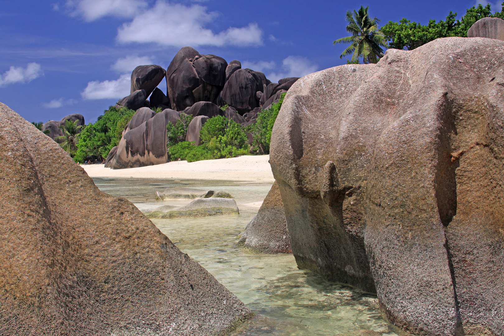 die Granitfelsen der Anse Source d Argent