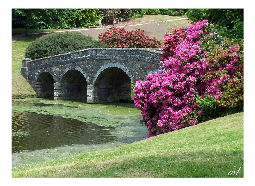 Die Grasbrücke