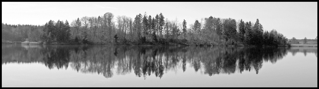 Die graue Insel