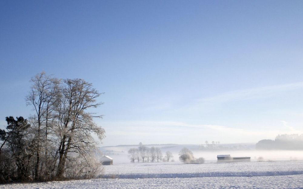 Die grauen Nebel ...