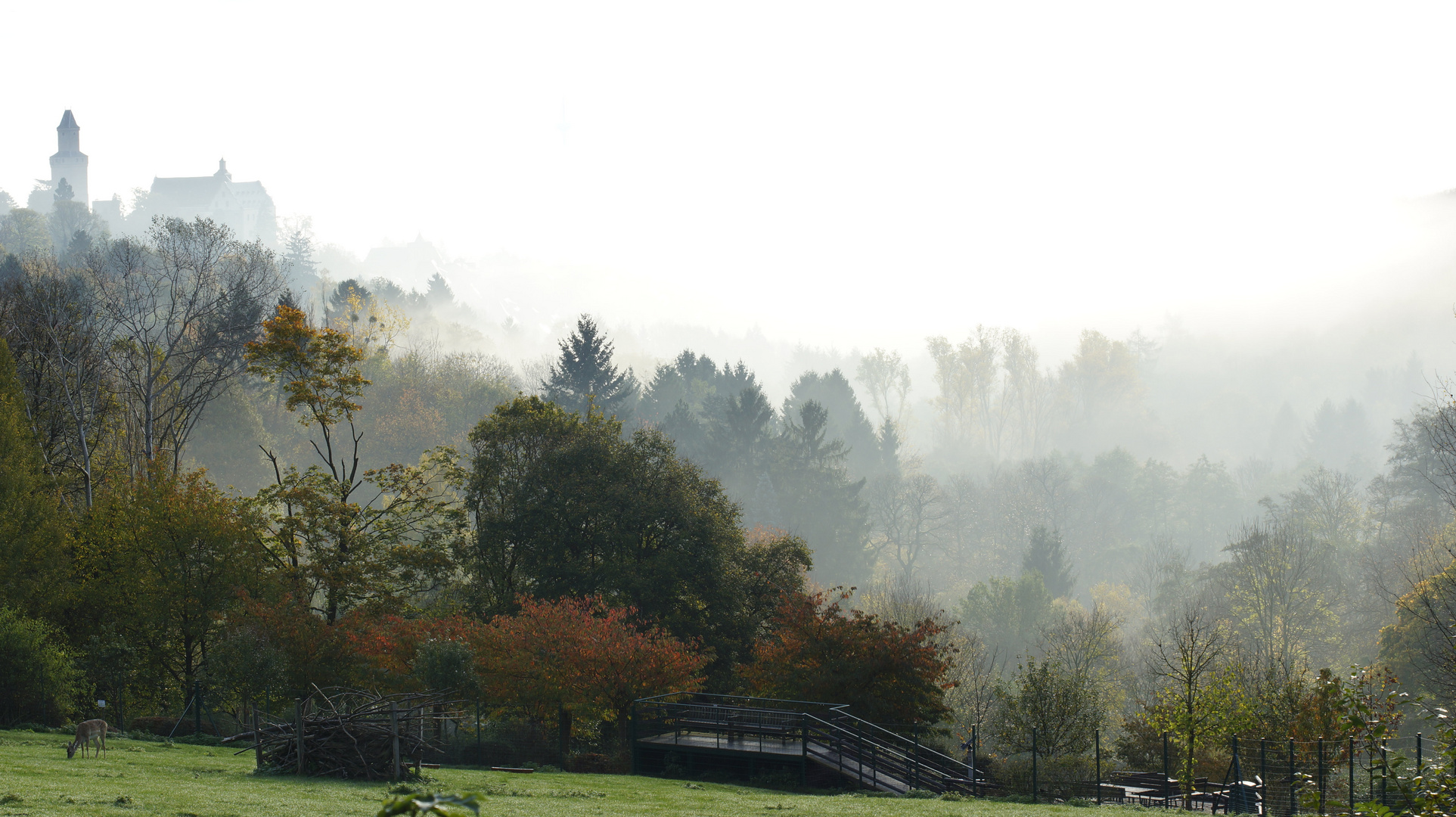 Die grauen Nebel hat das Licht durchdrungen