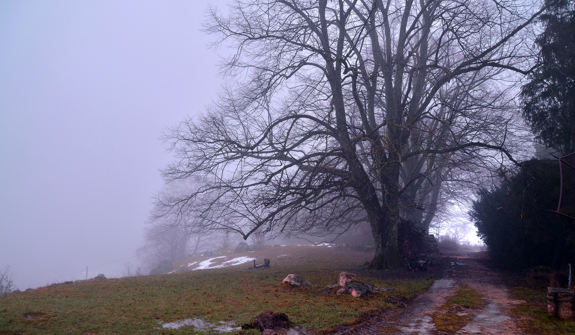 Die grauen Nebel wallen