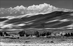 die "great sand dunes"