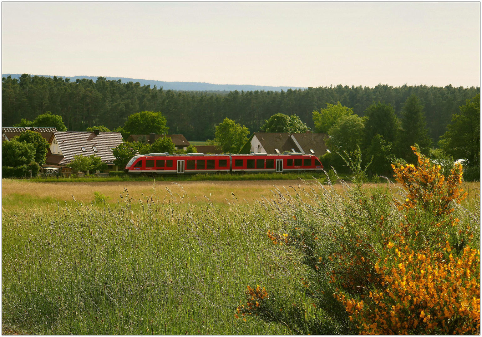 Die "Gredl" kommt näher und hupt permanent