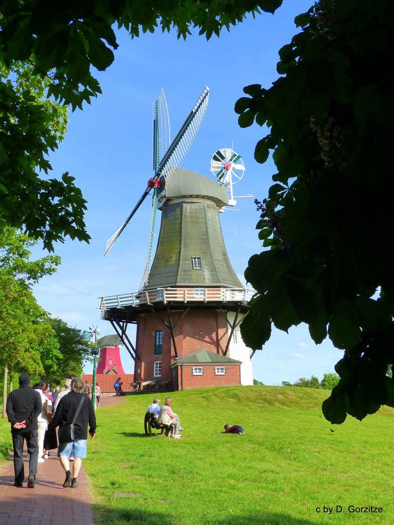 Die Greetsieler Zwillingsmühlen!