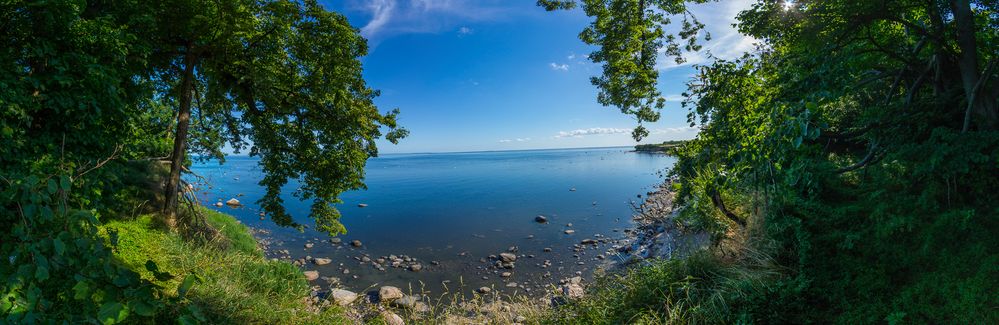 Die Greifswalder Oie