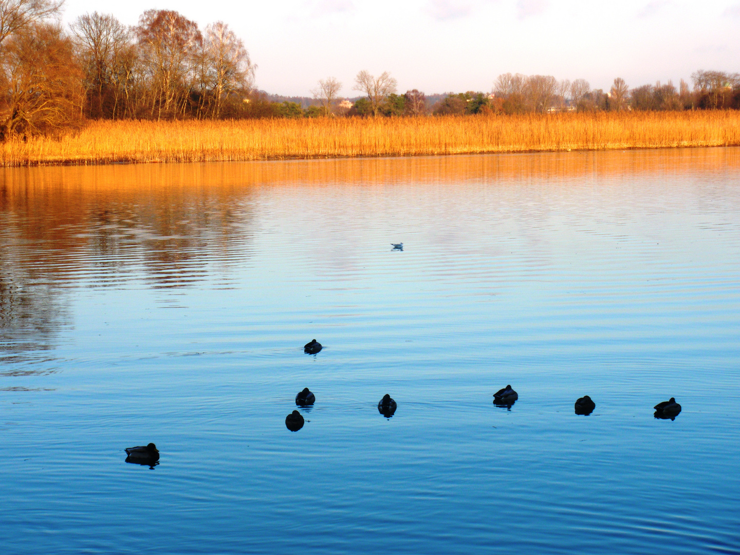 die grenze zwischen Ländern durch das wasser vereint