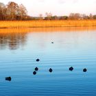 die grenze zwischen Ländern durch das wasser vereint