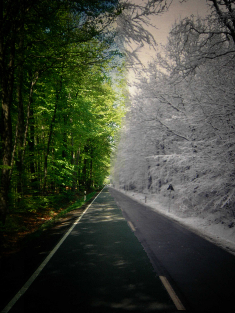 Die Grenzstraße zwischen den Jahreszeiten Winter und Sommer. - Ich habe sie gefunden.